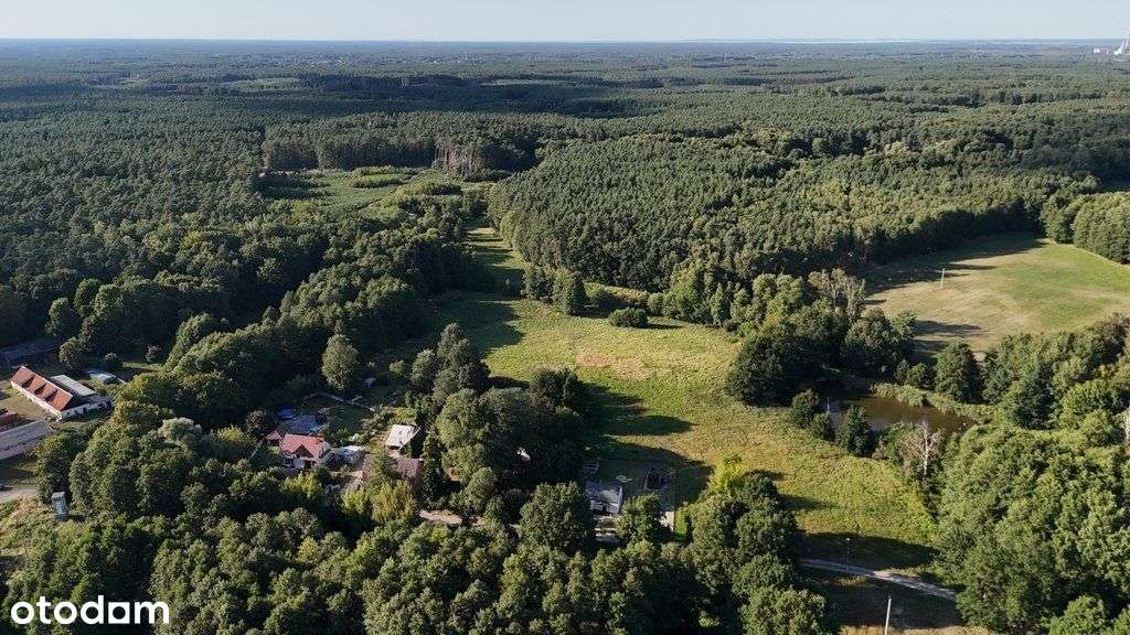 Lokal użytkowy, 1 240 m², Sierakowo - Pełny obrazek: 4/20