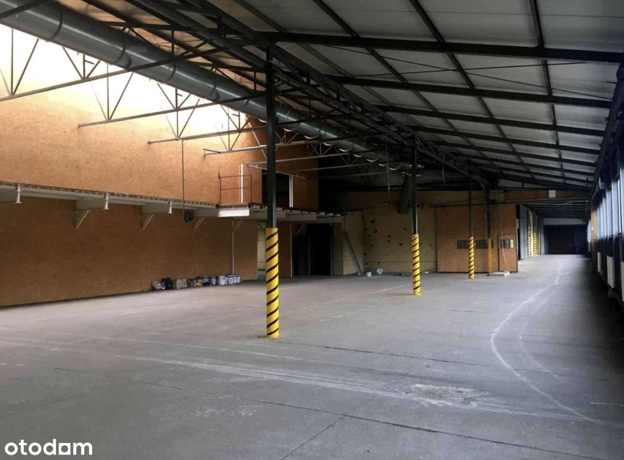 Hala produkcyjno-magazynowa 2 900 m²  380 kW  Stare Serby (Głogów) - Pełny obrazek: 2/4