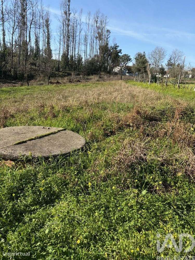 Terreno em Macinhata do Vouga - Grande imagem: 4/12