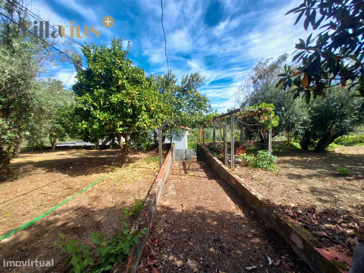 Moradia T3+1 à Venda em Tomar – Espaço e Natureza-42