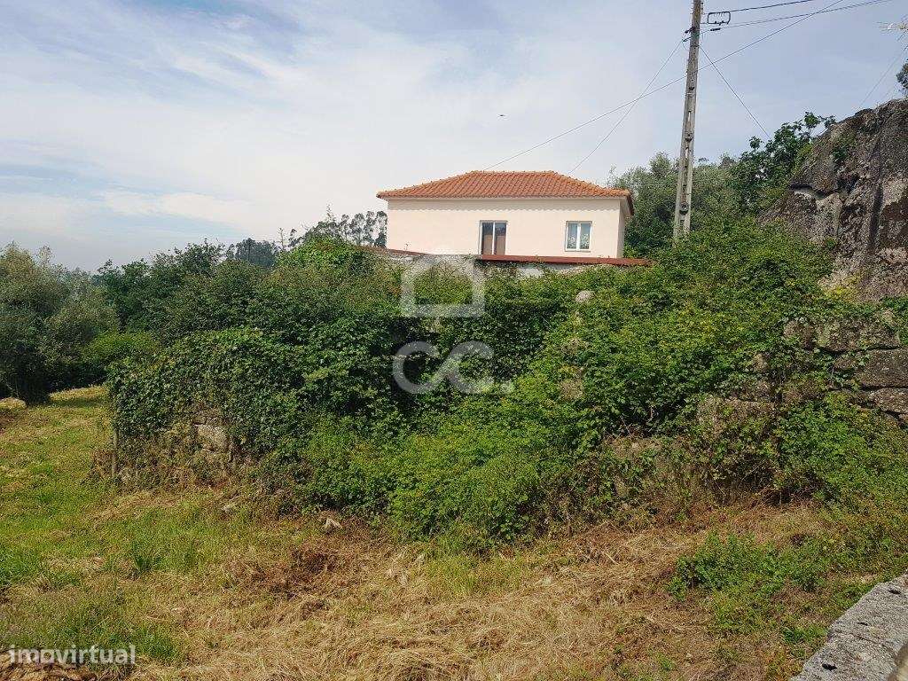 Terreno em Jesufrei! - Grande imagem: 2/7