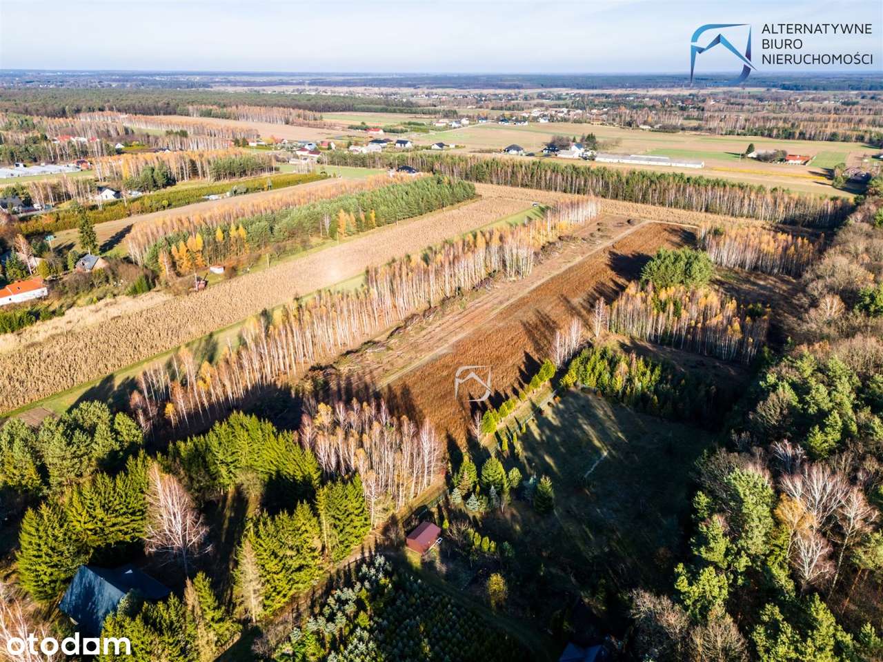 Piękne, ustawne działki w otulinie lasu - Jawidz - Pełny obrazek: 4/11