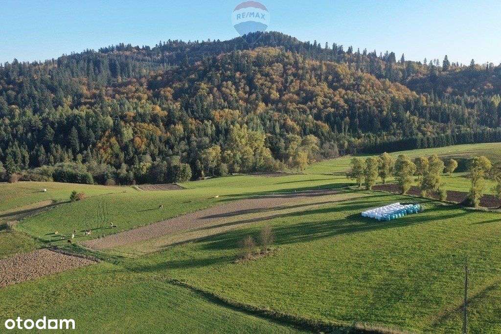 Działka budowlana widokowa 1245 m², Falsztyn. - Pełny obrazek: 5/13