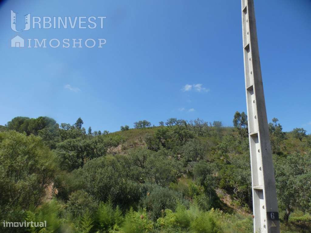 Terreno rústico com varias nascentes de água, com enorme caudal em ... - Grande imagem: 5/35