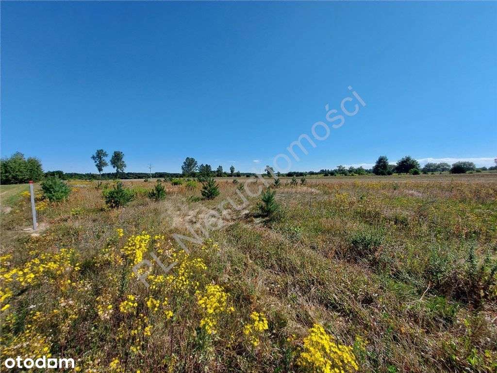 Działka Budowlana W Przyjaznej Cenie.-3