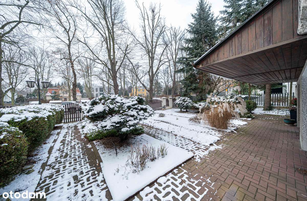 Najlepszy adres w Poznaniu, Ścisły Sołacz-1