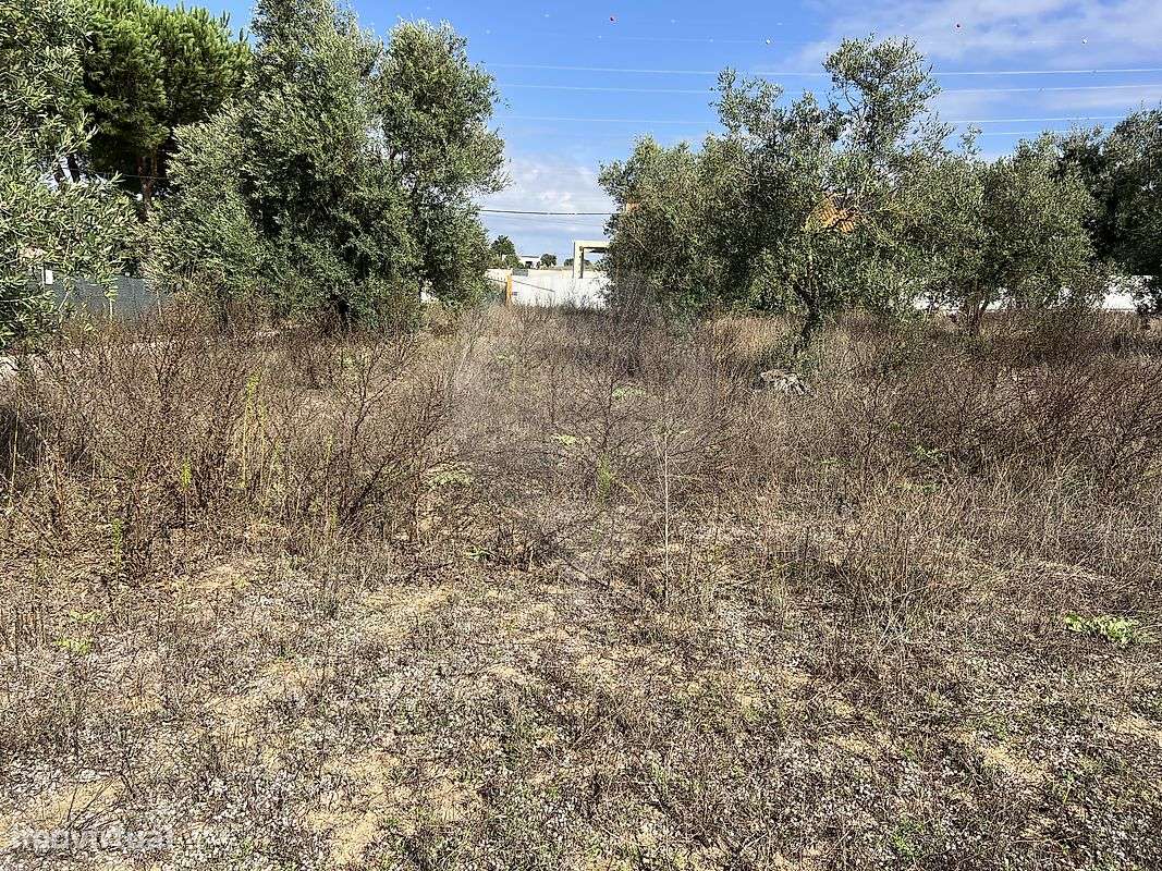 Terreno  para venda - Grande imagem: 3/21