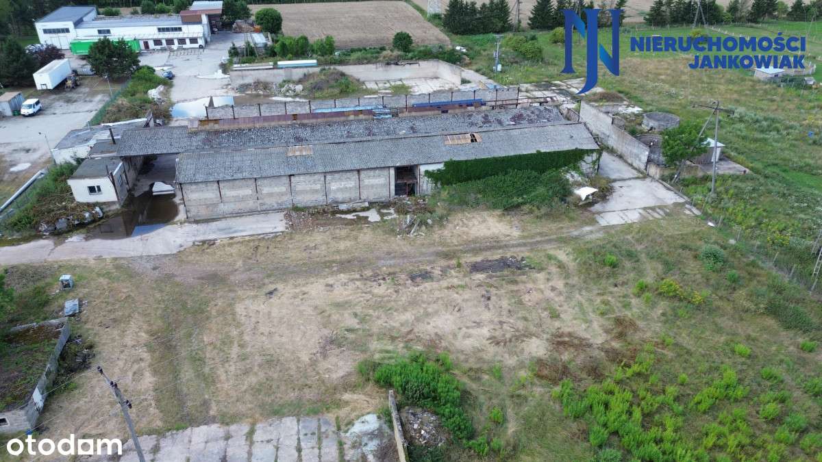 Działka inwestycyjna/Szamotuły – 45 km od Poznania - Pełny obrazek: 5/17