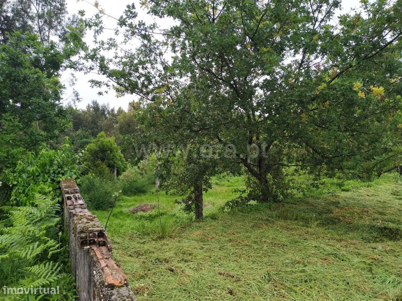 Terreno em Travassós - Grande imagem: 2/2