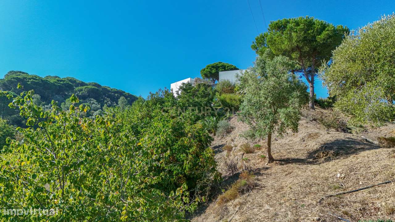 Quinta na Arrábida com moradia T5 de 364 m2 em lote de 13 520 m2 Onde-55