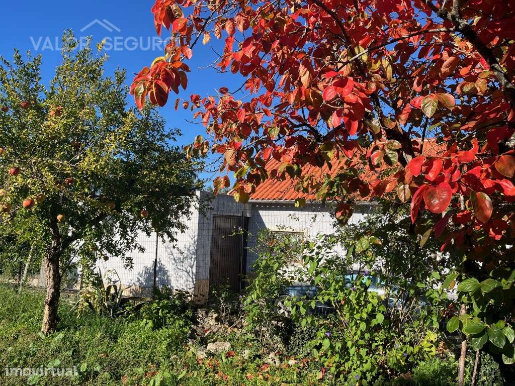 Casa rural para recuperação em Ansião-25