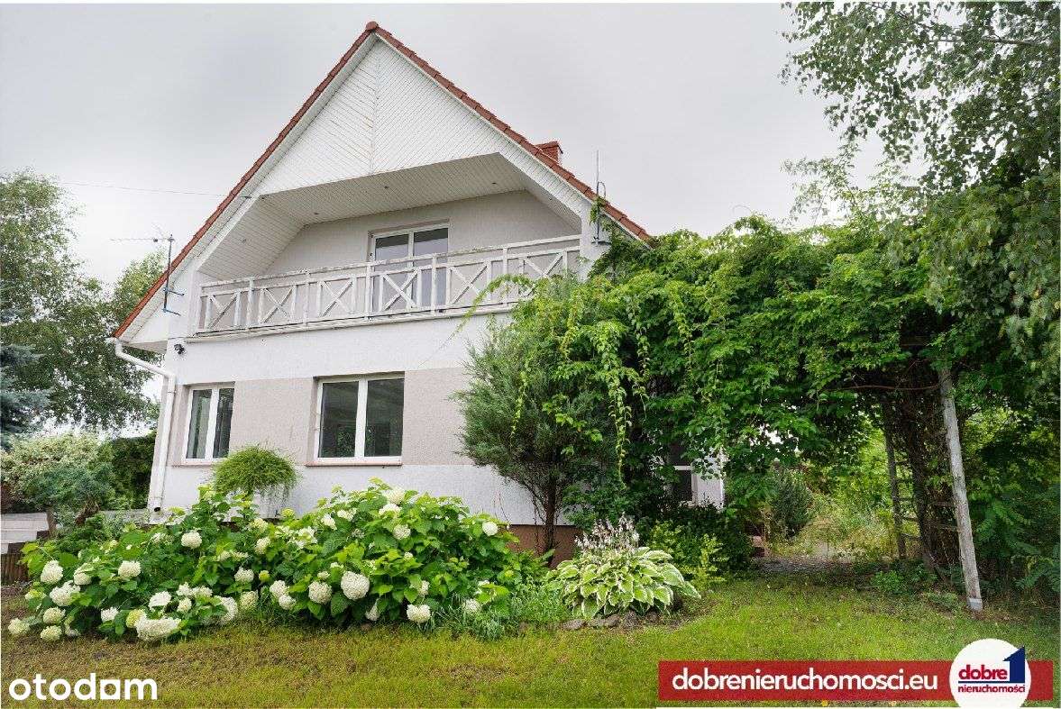 Tur, Dom z dużą, zadbaną działką wśród zieleni! - Pełny obrazek: 5/18