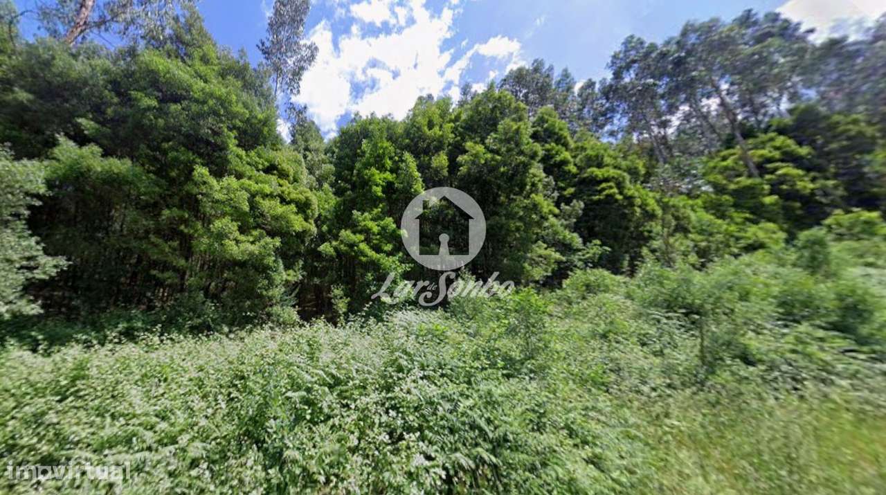 Terreno com 12.000m2 em Santo Tirso - Grande imagem: 5/6