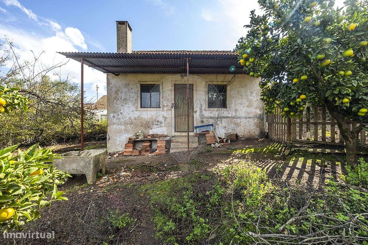 Arrecadação  para venda - Grande imagem: 5/7