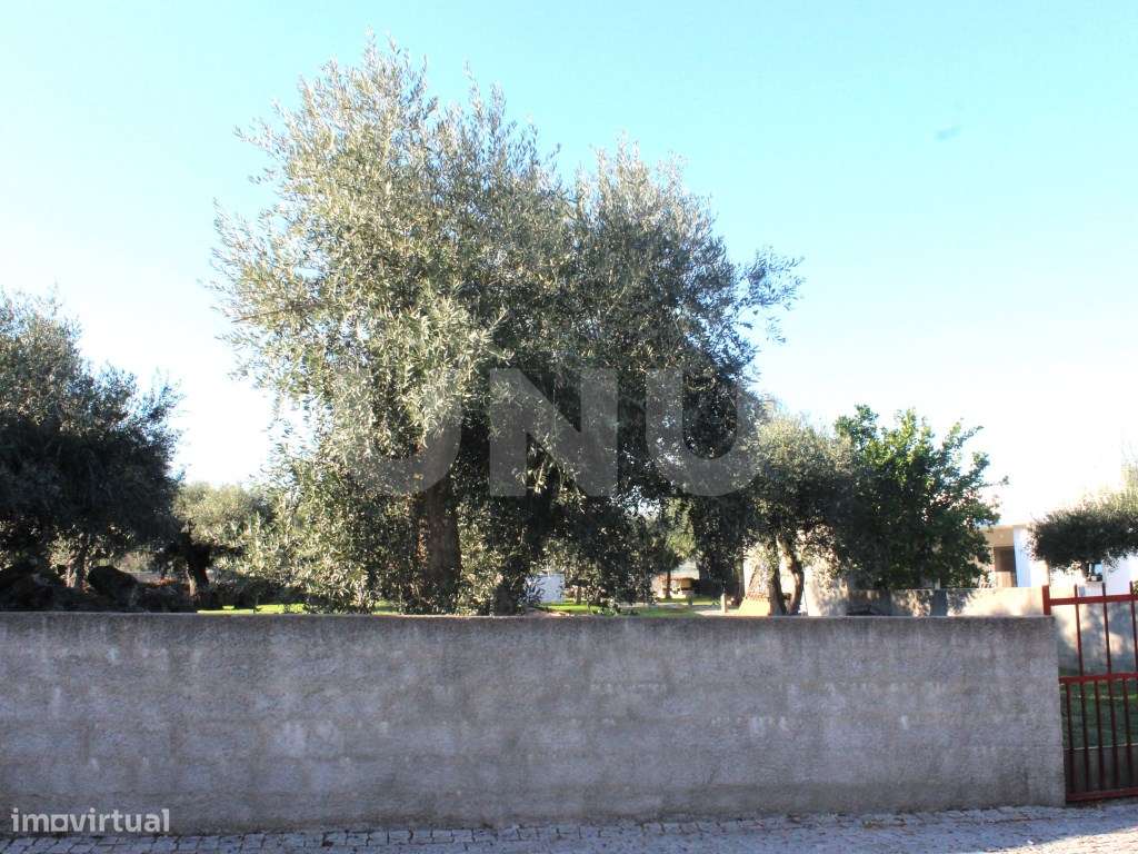 Terreno Urbano com 850m2 de área-10