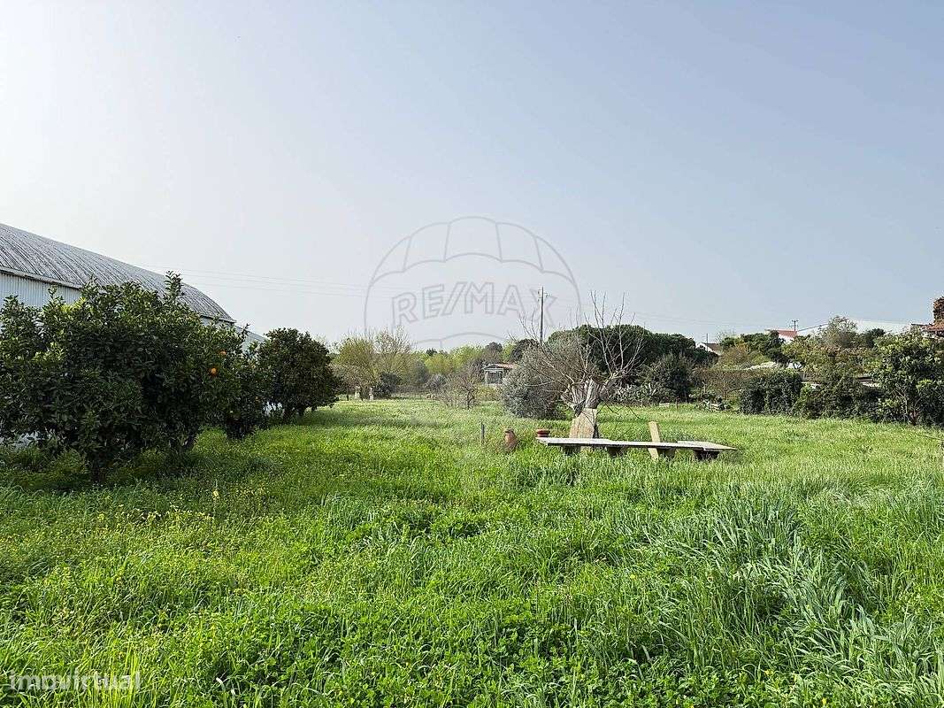 Terreno  para venda-6