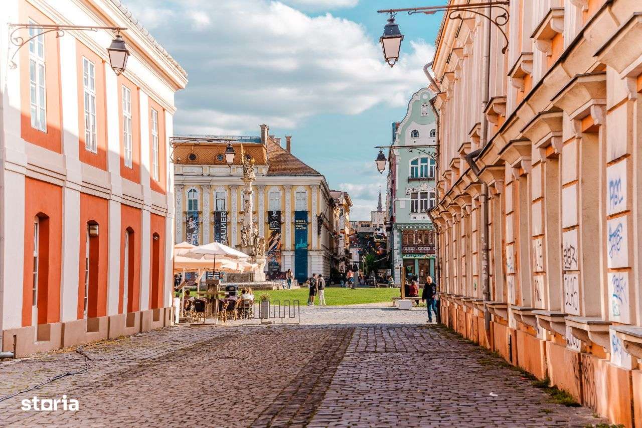 Apartament deosebit in Piata Unirii - Ocupabil Imediat!-17