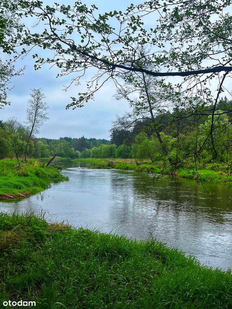 Działki rekreacyjne nad rzeką Wartą-możliwe raty!-6