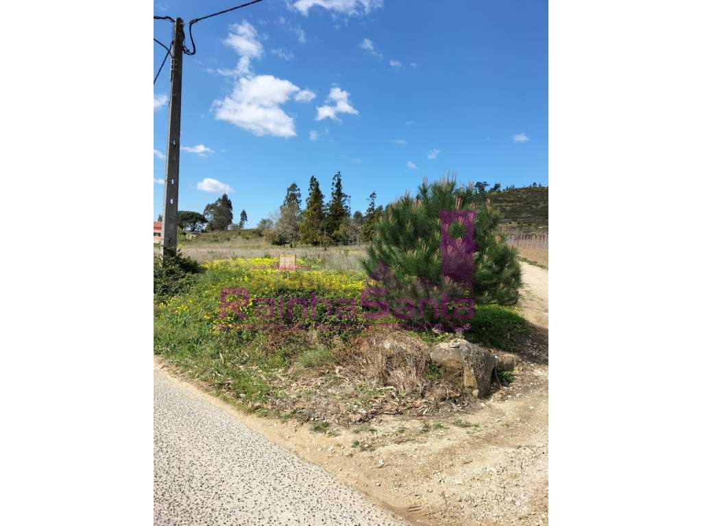 Terreno -Empreendimento Turístico - Praia de Santa Cruz - Grande imagem: 2/5