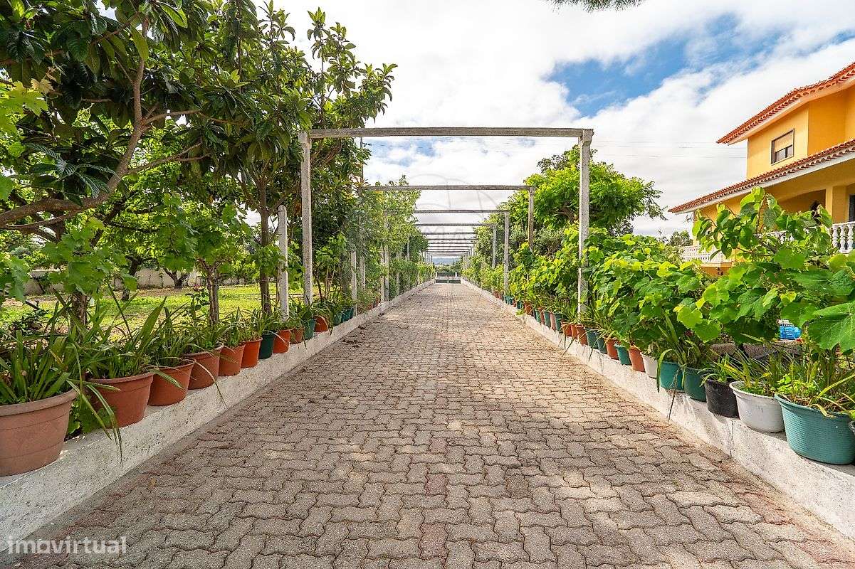 Moradia T6 para venda - Grande imagem: 4/38