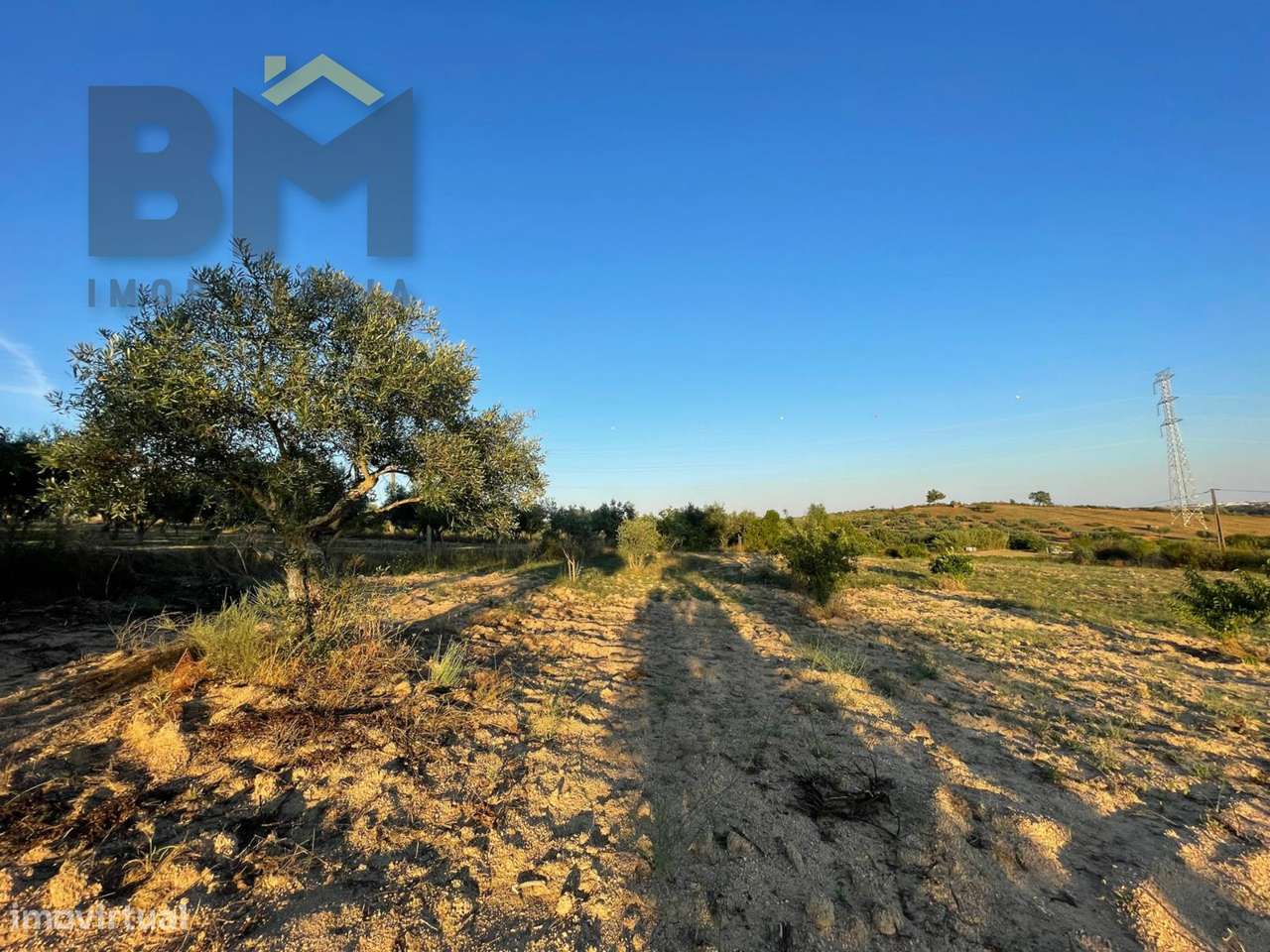 Terreno Rústico  Venda em Castelo Branco,Castelo Branco - Grande imagem: 4/14