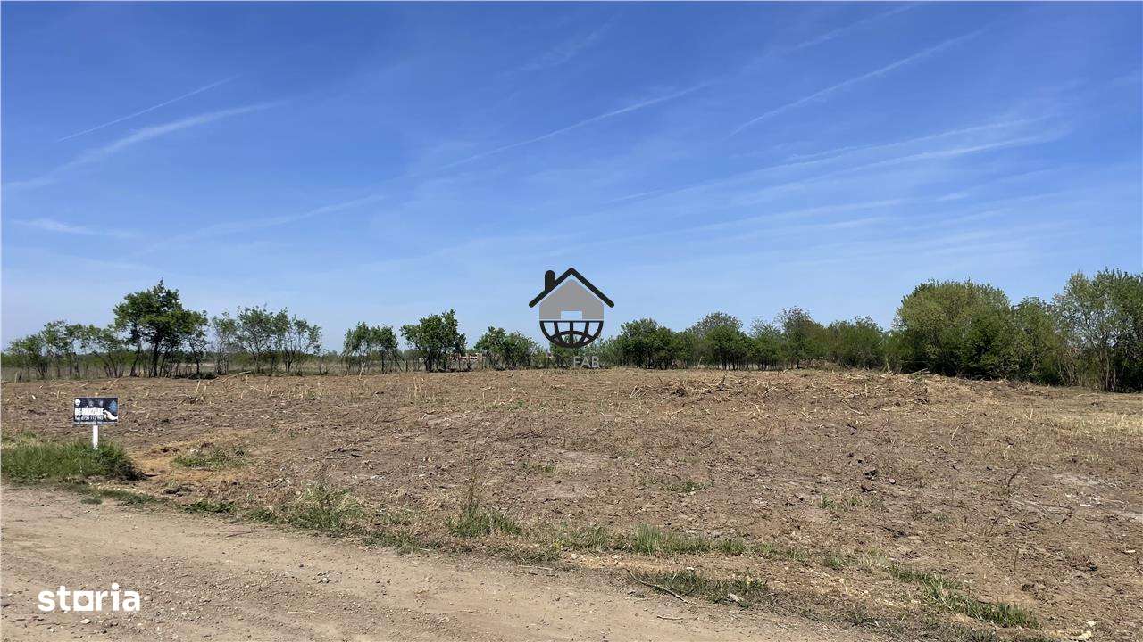 Teren Intravilan 5000mp in Buvovat - Imagine principală: 1/7