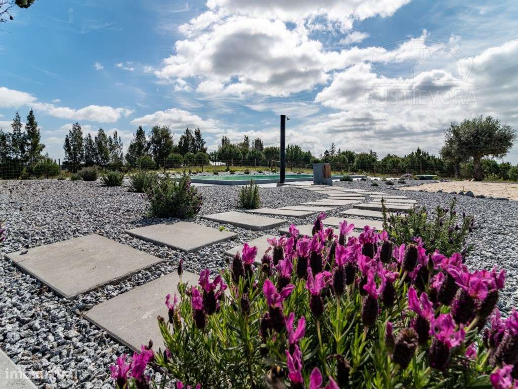 Herdade com 37 Ha com 6 Moradias para Habitação e/ou Turismo | Alcá...-5