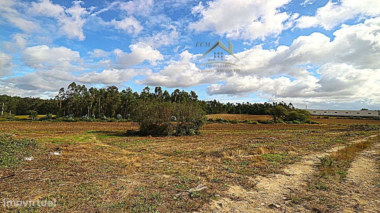 Terreno 20.000m/2 Macieira da Maia-21