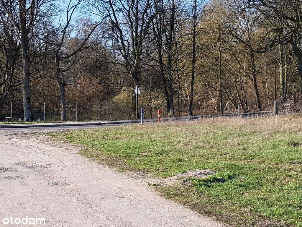 Działka w pobliżu lasu. - Pełny obrazek: 4/11