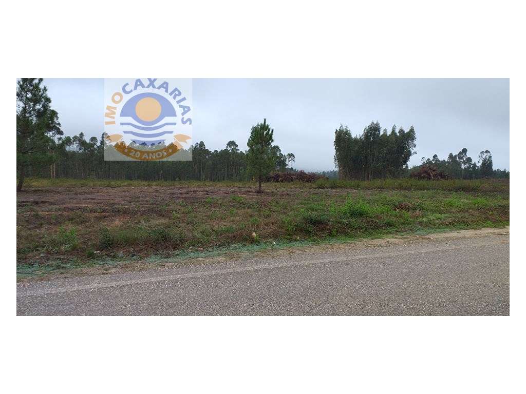 Terreno com projecto Aprovado - Grande imagem: 3/5