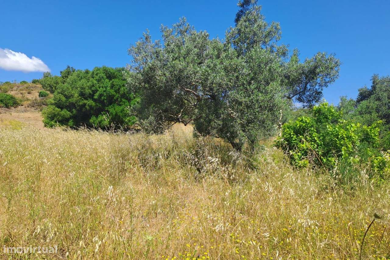 Terreno Rústico com 1540m2 perto de Alcoutim. - Grande imagem: 3/6