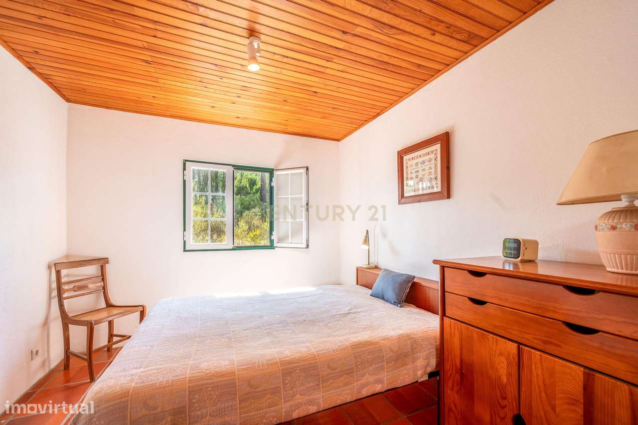 Moradia em Farinha Branca, Montargil-19