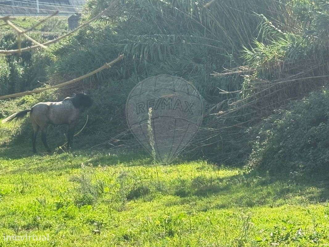 Terreno  para arrendamento - Grande imagem: 4/5