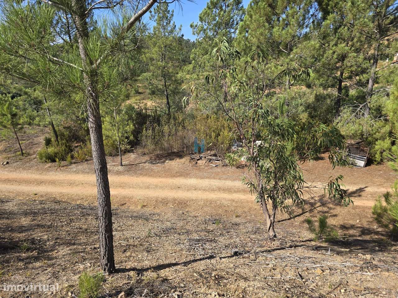 Terreno Rústico com 6320m2 - Grande imagem: 5/6