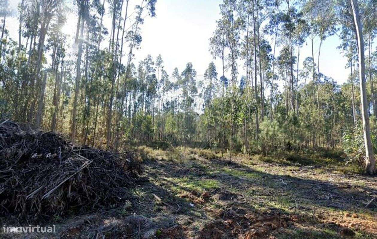 Terreno  para venda - Grande imagem: 4/4