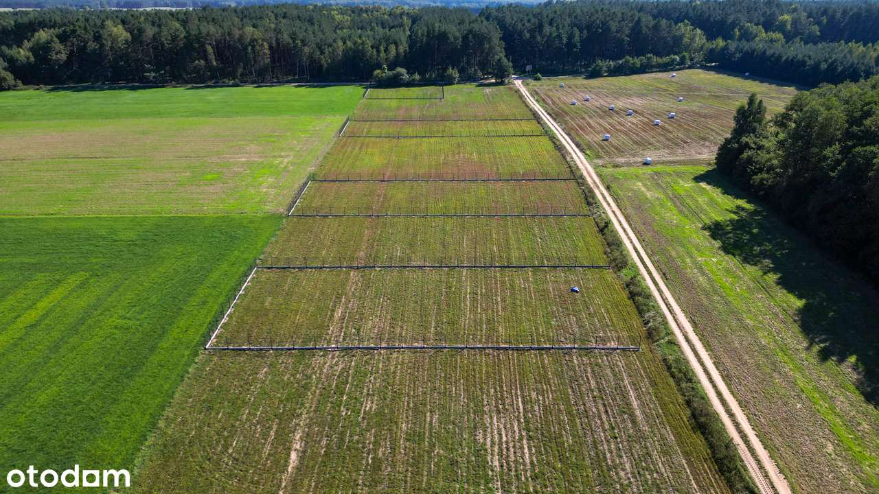 Działki budowlane w otoczeniu lasu pod dom lub inwestycje. Raty - Pełny obrazek: 1/11