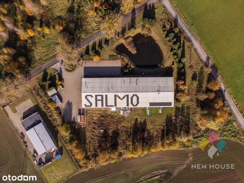 Atr. obiekt, siedziba firmy, zakład produkcja DK16 - Pełny obrazek: 2/20