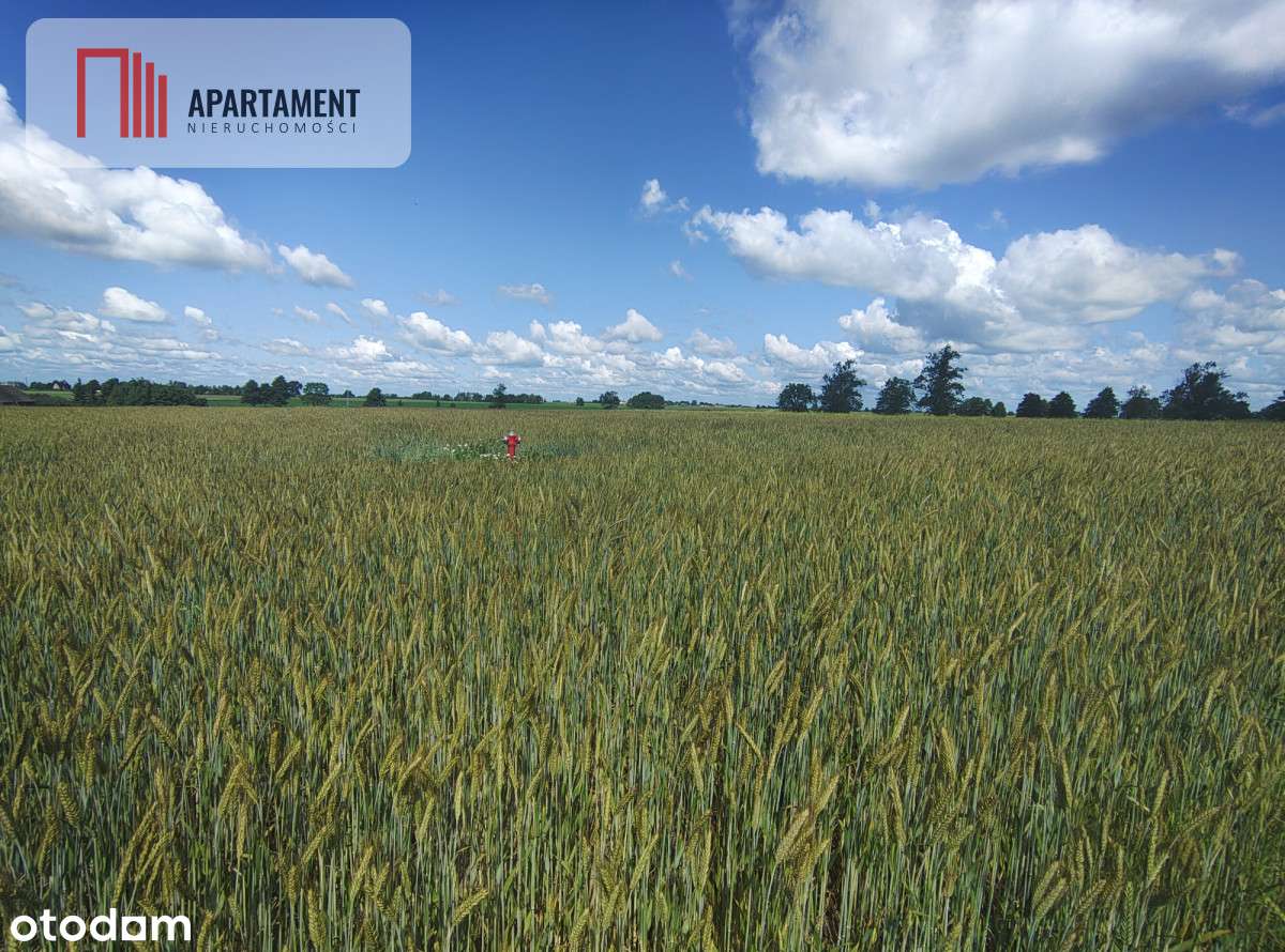 Tylko U Nas! Działka Z Warunkami Zabudowy, Media! - Pełny obrazek: 5/10