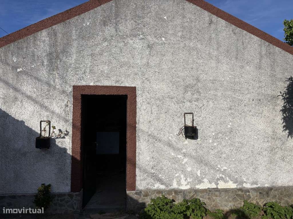 Vendese Quinta com Casa T4, Adega, Lagar e Terreno com Árvores de F...-38