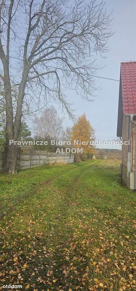 Działka usługowo rolna, Przygorzele, gm Świerczów-7