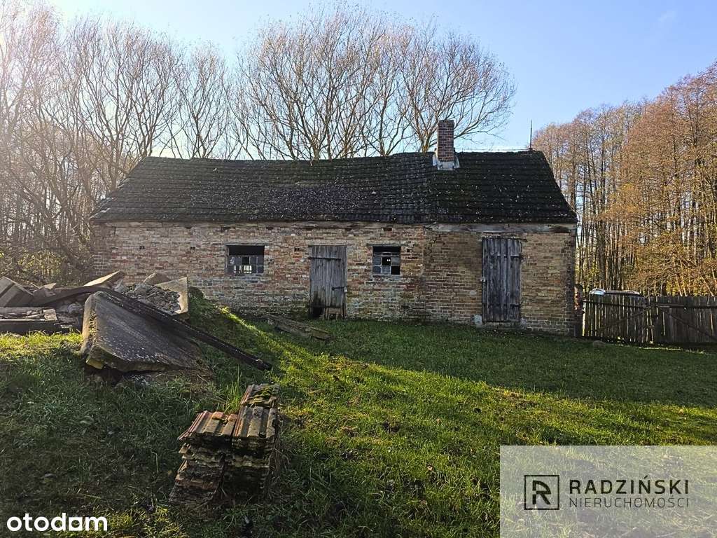 Poniemiecki dom przy lesie w Brzezince-2