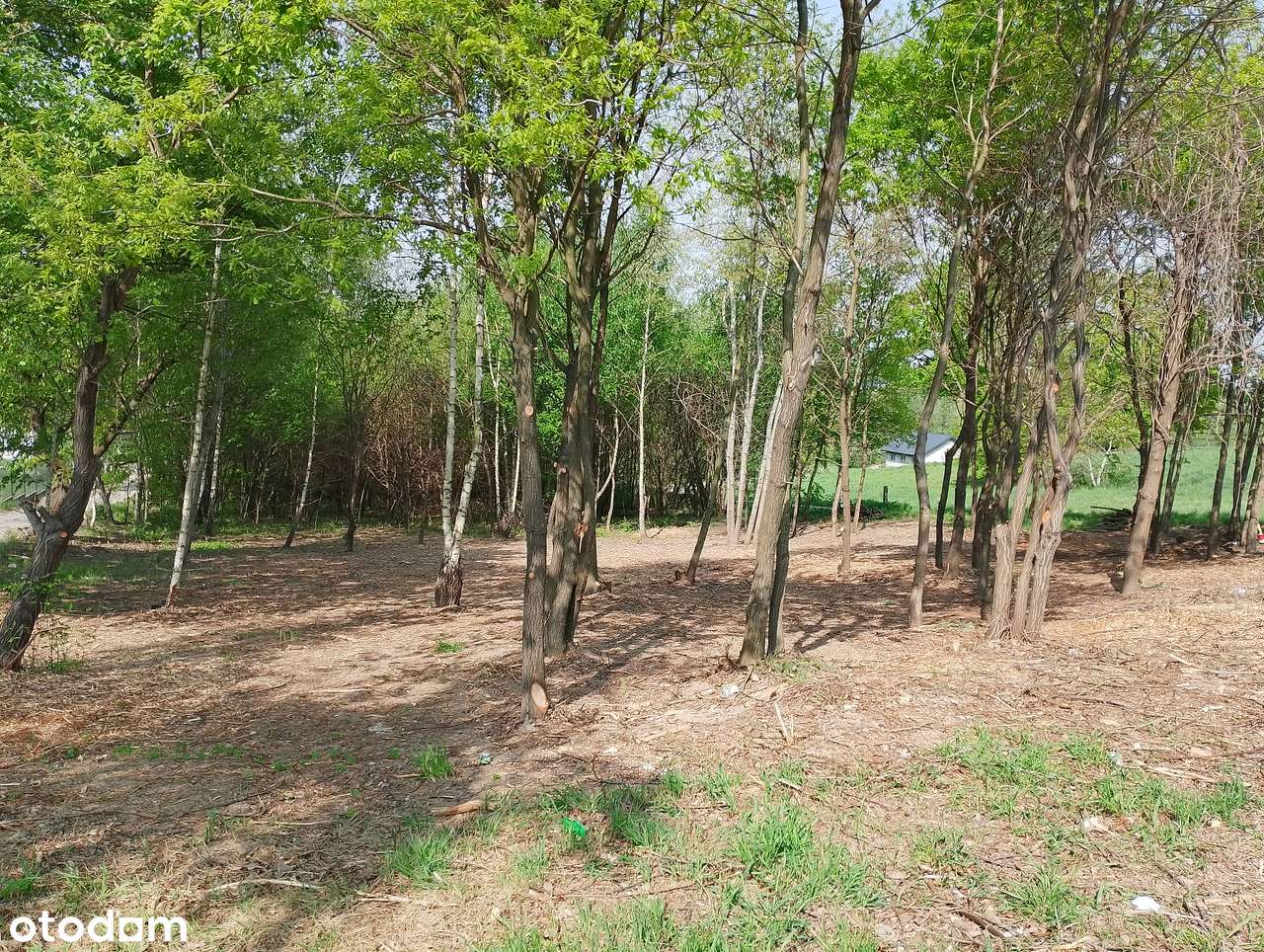 Działka budowlana 9,3ar Zagórze gm. Niepołomice-4