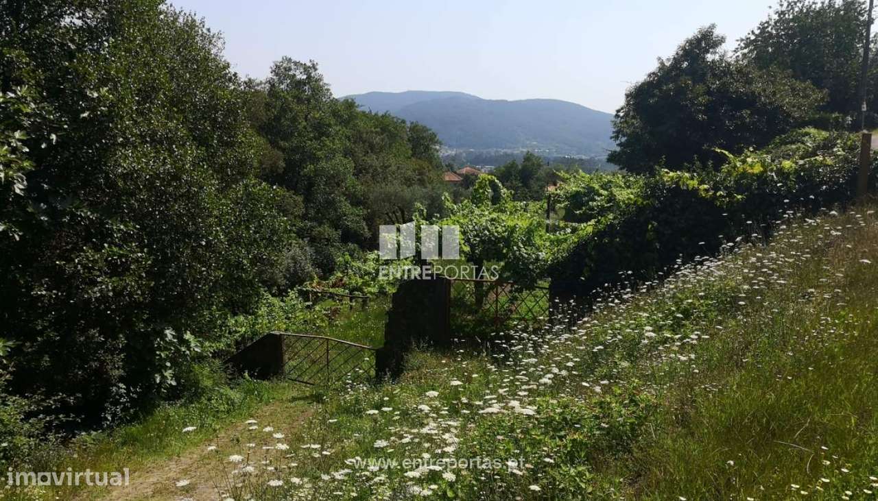 Venda de Terreno, Carvoeiro, Viana do Castelo. - Grande imagem: 3/33