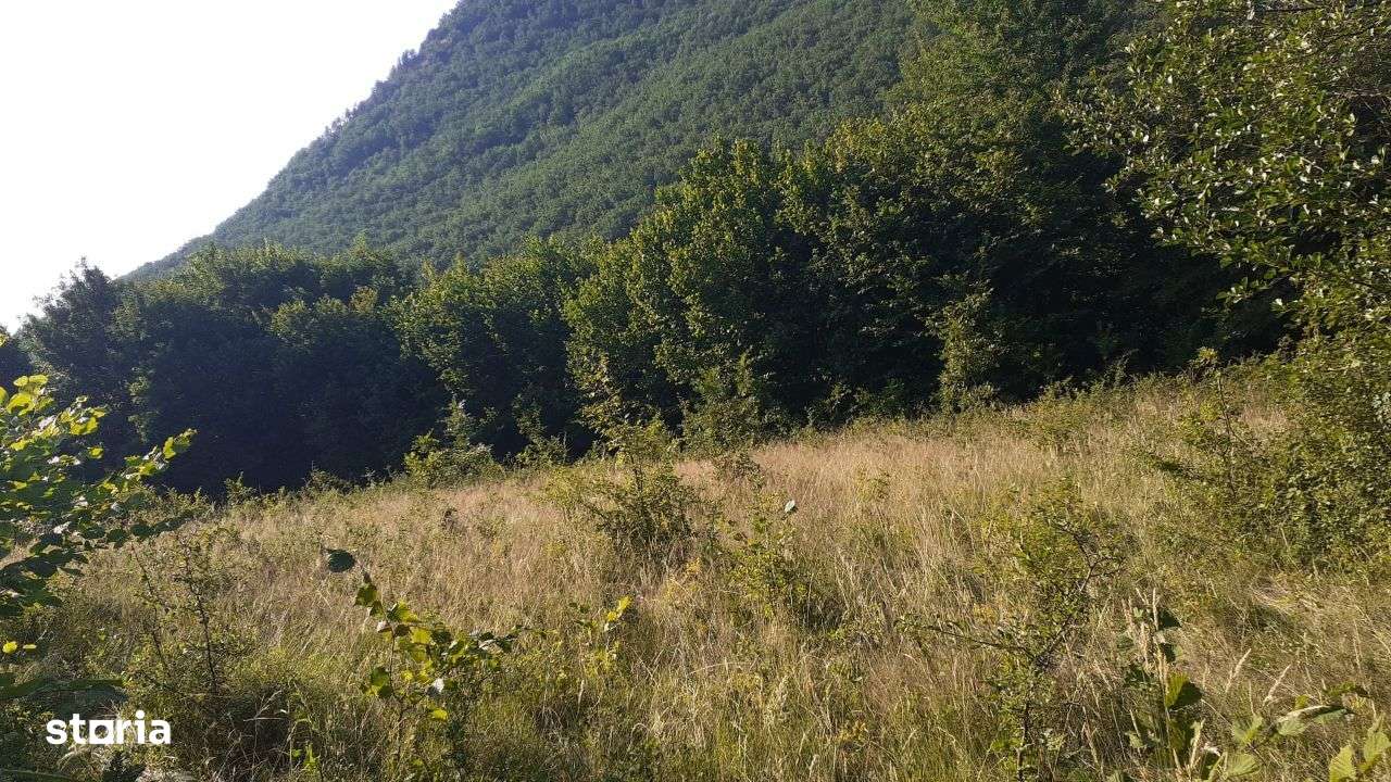 Roscani-Dobra-Teren Cabana-10km A1-Posibilitate Rate - Imagine principală: 3/8