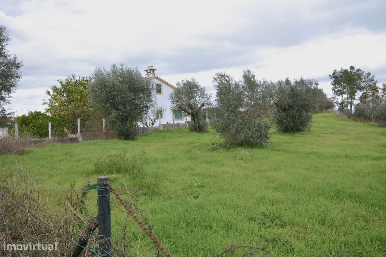 Terreno  Venda em Asseiceira,Tomar-6