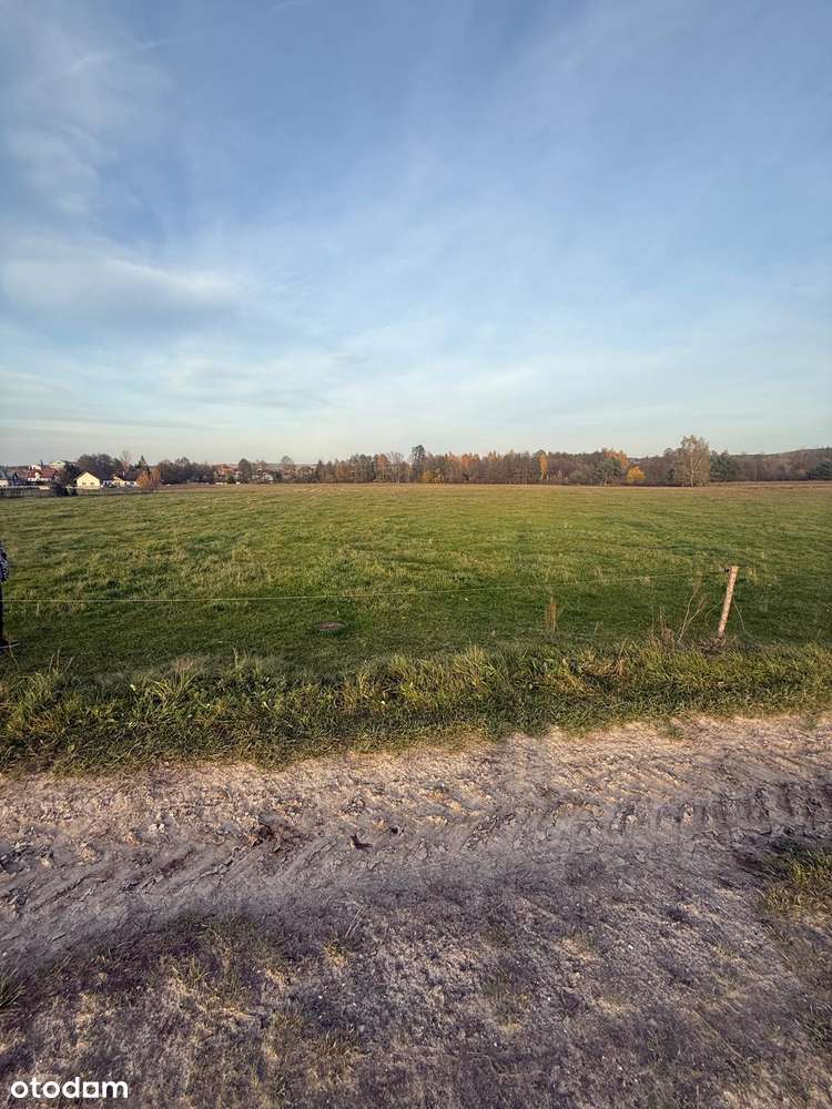 Działka budowlana-inwestycyjna, 75.88 arów - Krasocin. - Pełny obrazek: 4/10