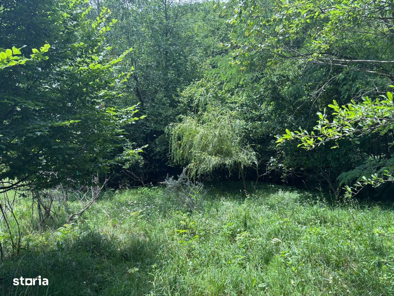 Teren extravilan Feleacu/Valea Capriorii - Imagine principală: 3/3