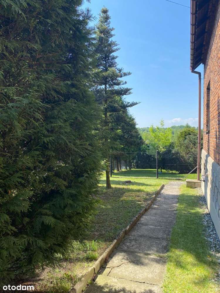 Dom jednorodzinny, Pszów, ul. Żużlowa * NOWA CENA* - Pełny obrazek: 4/11