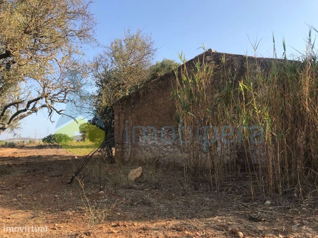 MORADIA/CASA ANTIGA EM RUÍNA COM LOTE DE TERRENO - Grande imagem: 4/28