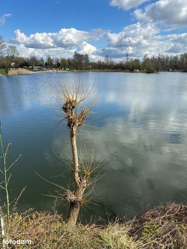 działka OLZA pierwsza linia brzegowa jezioro